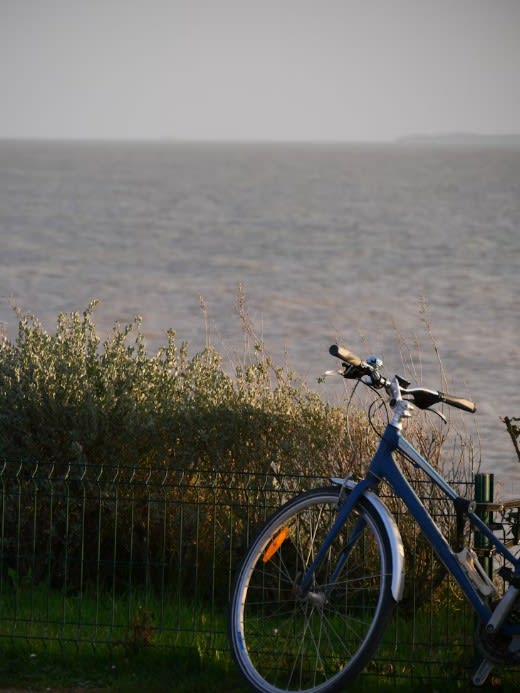 Bicycle by the sea.jpg