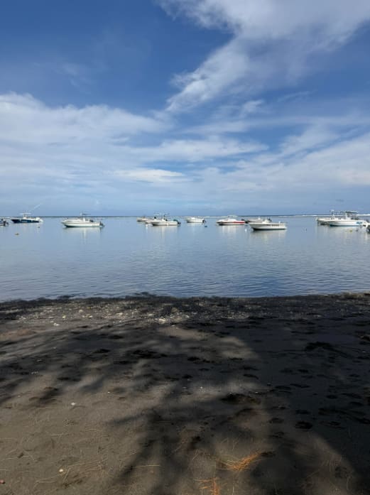 Saint-Pierre et l'Étang-Salé.png