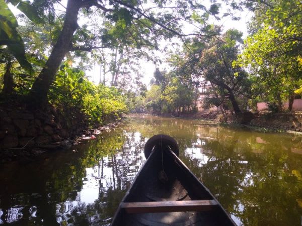 Backwater kerala.jpg