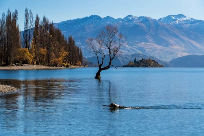 Wanaka.jpg