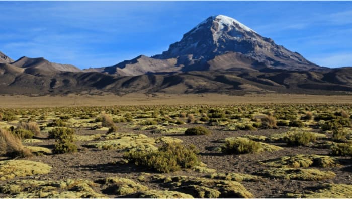 El Parque Sajama