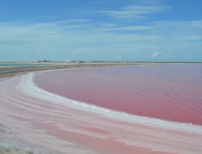 Las Coloradas.jpg