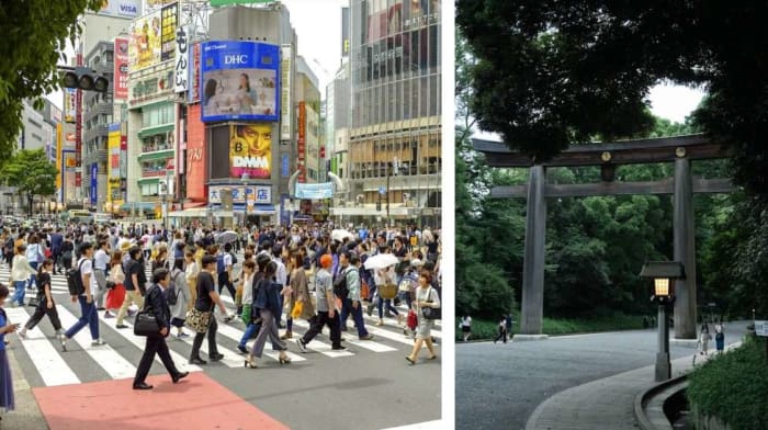 Shibuya Crossing, Meiji jingu.jpg