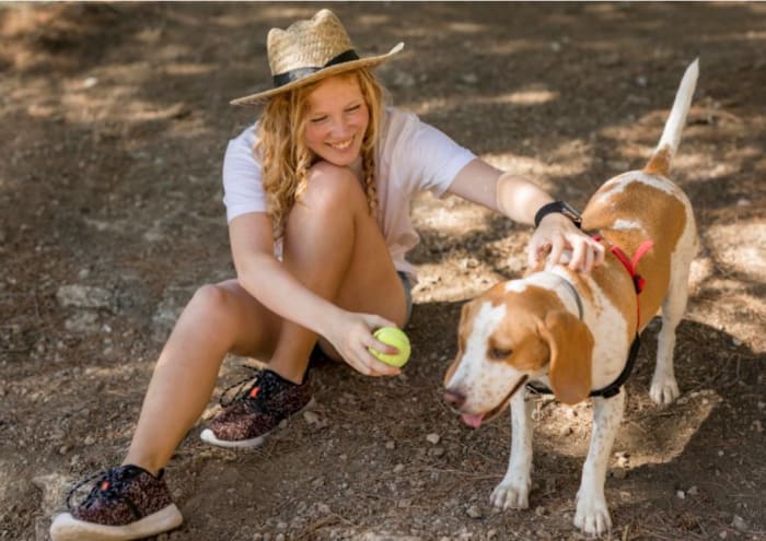 lächelnde-frau-spielt-mit-hund.jpeg