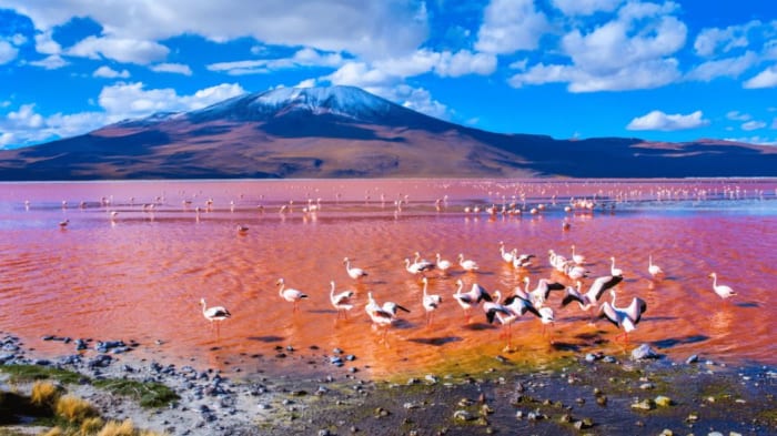 El desierto de Uyuni