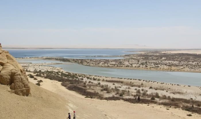 Wadi El Rayan.jpg