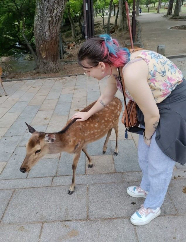 Ein Reh in Nara streicheln.jpg