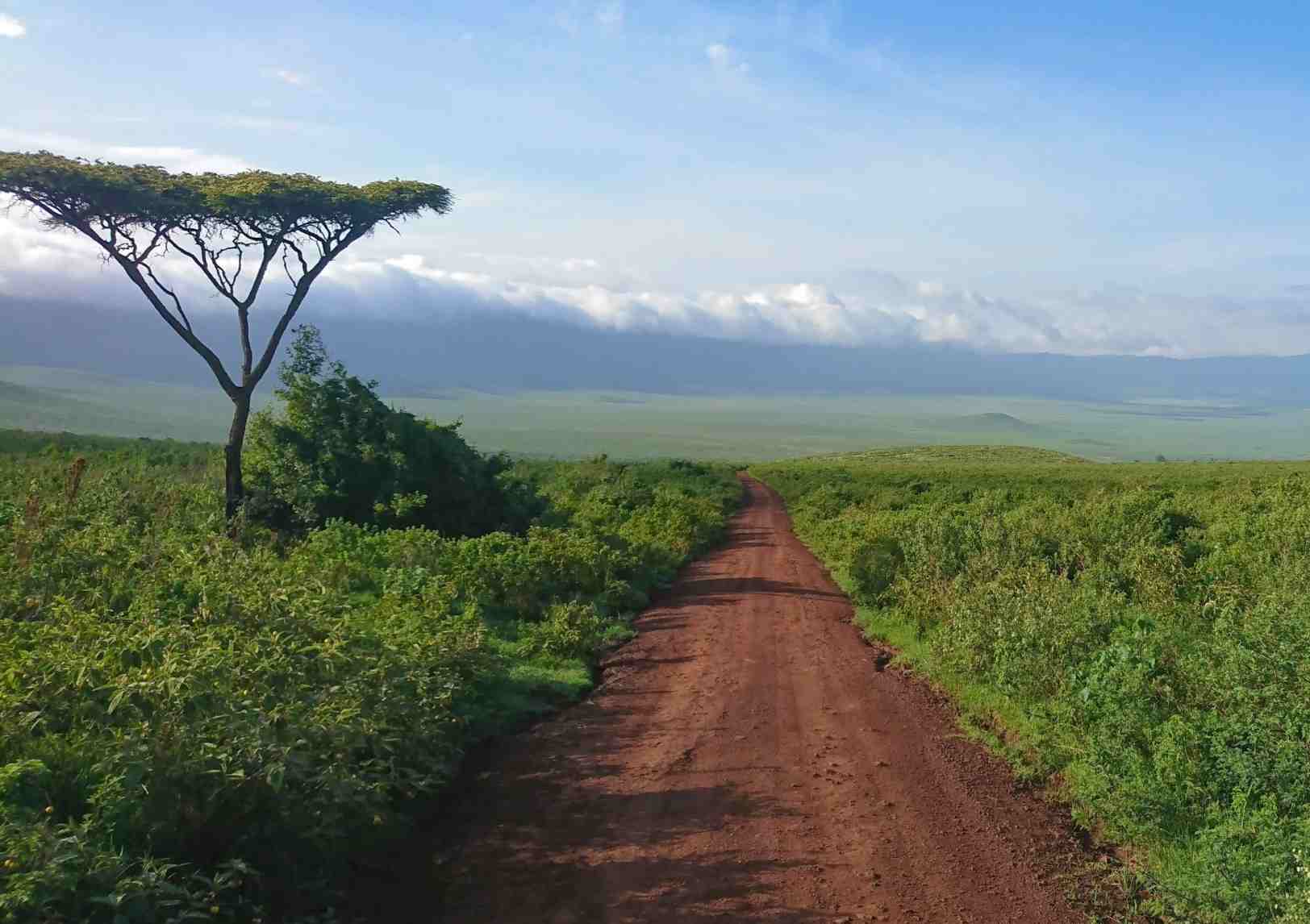 Tanzania.jpg