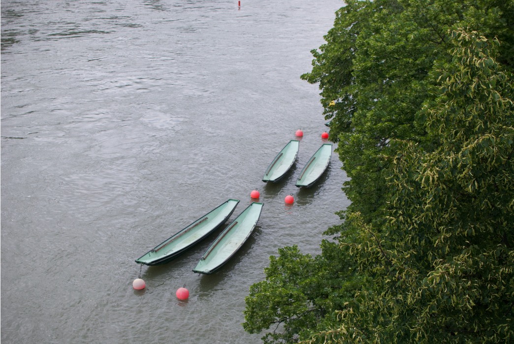 bords du Rhin.jpeg