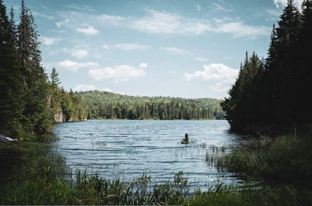 La Mauricie.jpg