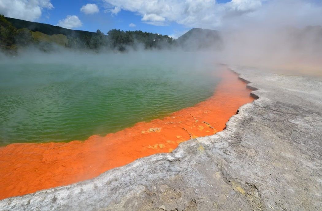Rotorua.jpg