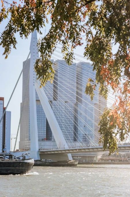 Rotterdam.jpg