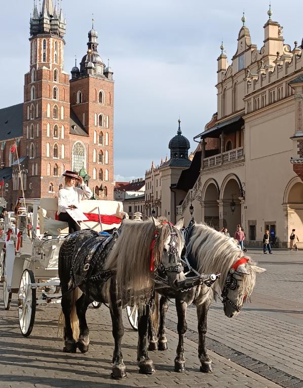 Rynek Główny.jpg