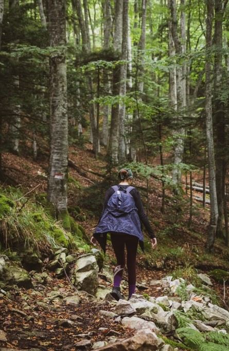 Mujer sola en la naturaleza.jpg