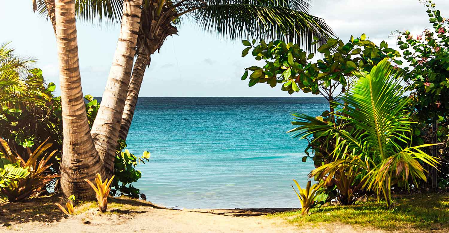 amerique-sud-plage-rincon-puerto-rico.jpg