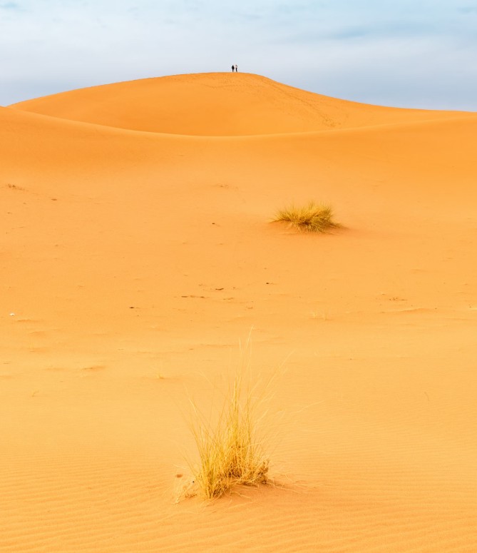 Sahara.jpg