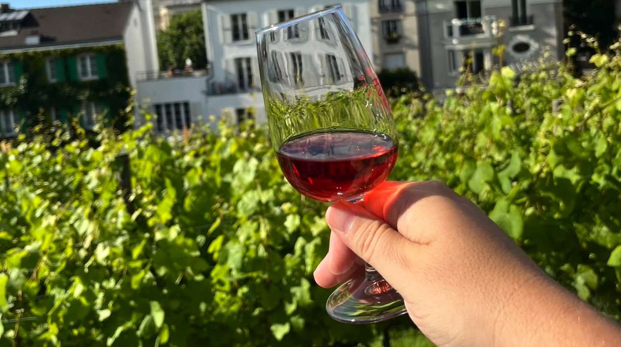 Clos Montmartre.jpg