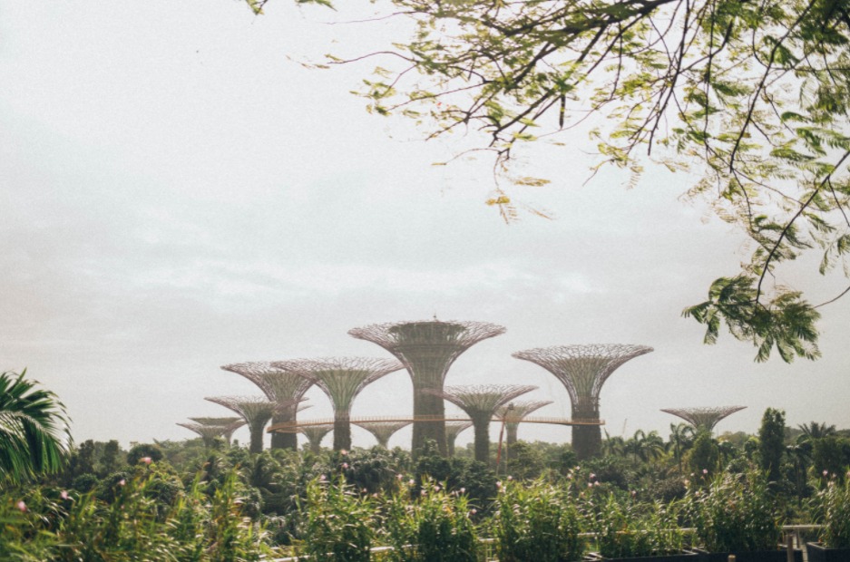 Gardens By The Bay, Singapour