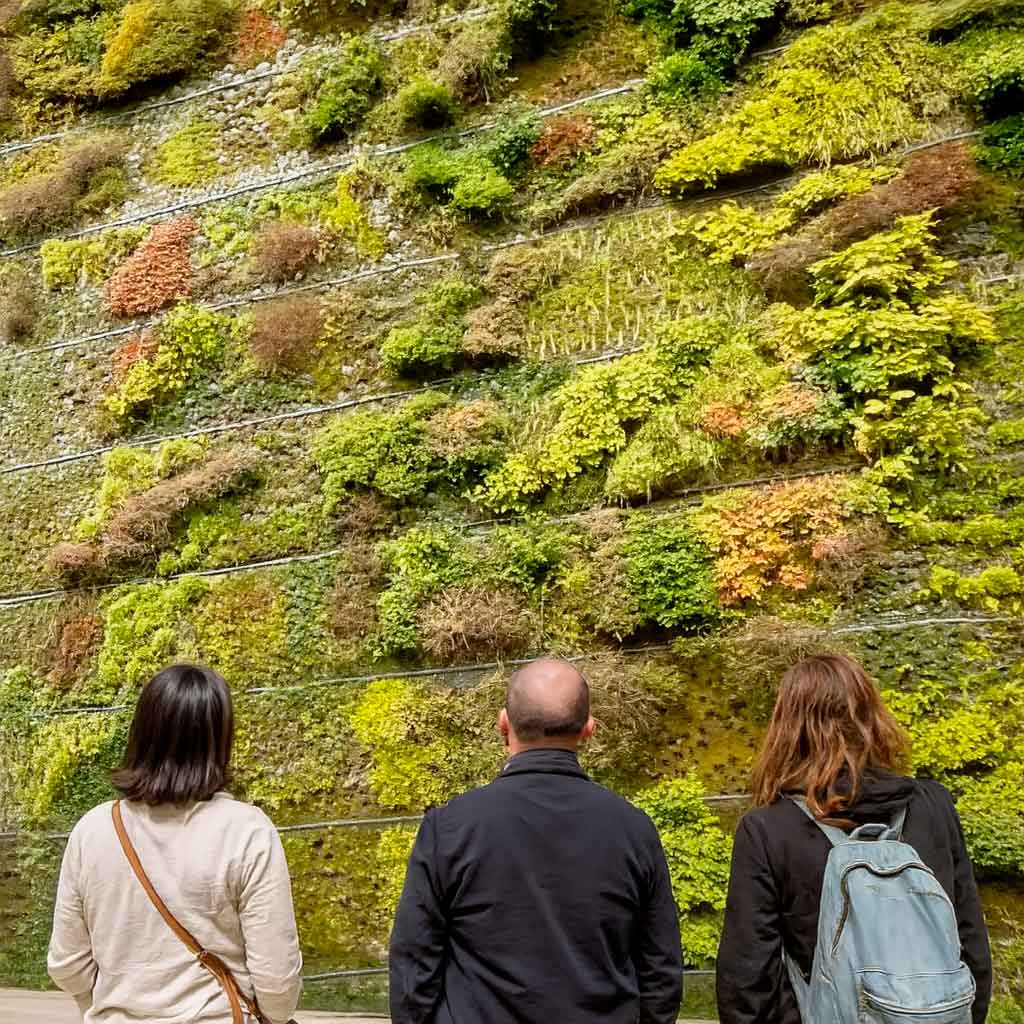 caixaforum-mur-vegetal.jpg