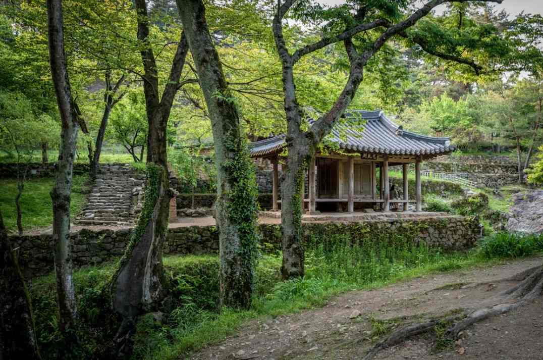Damyang.jpg
