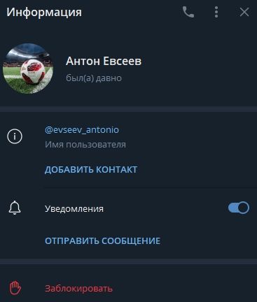 Антон Евсеев Антон Евсеев