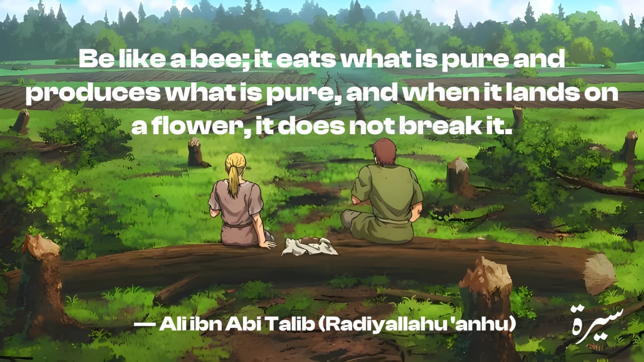 Quote 1