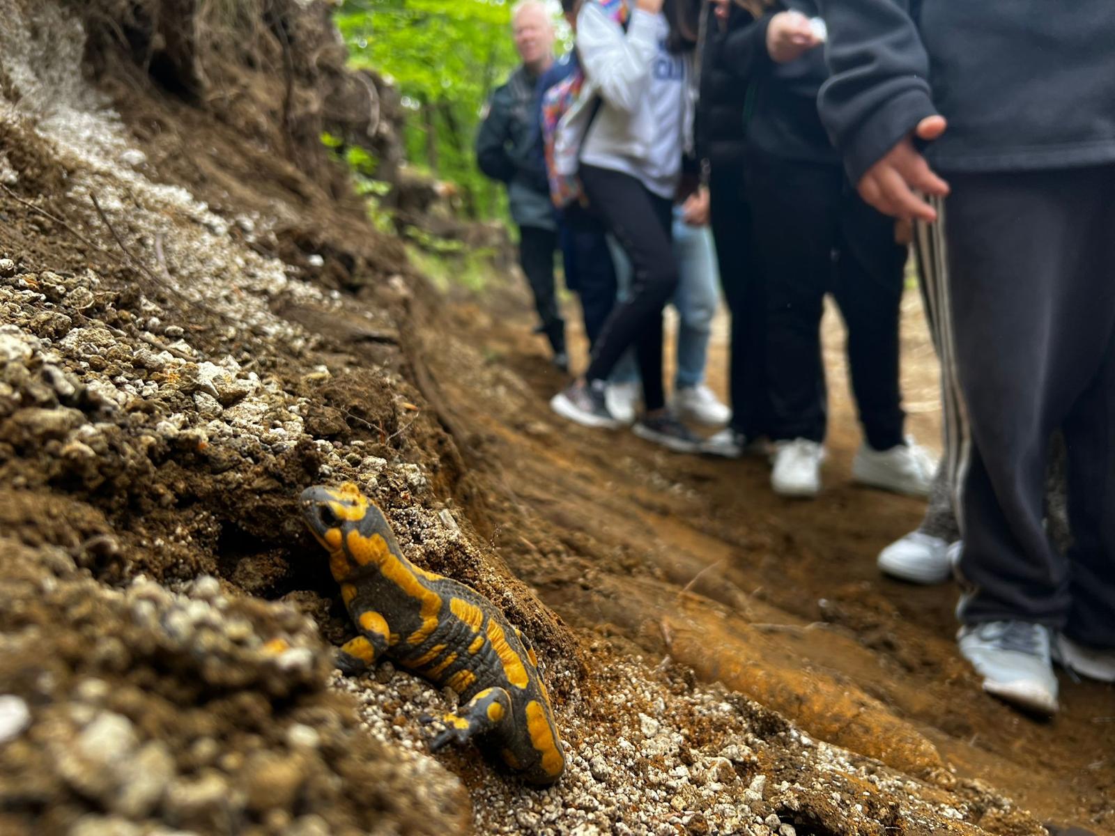 Escursioni guidate nel Parco del Partenio