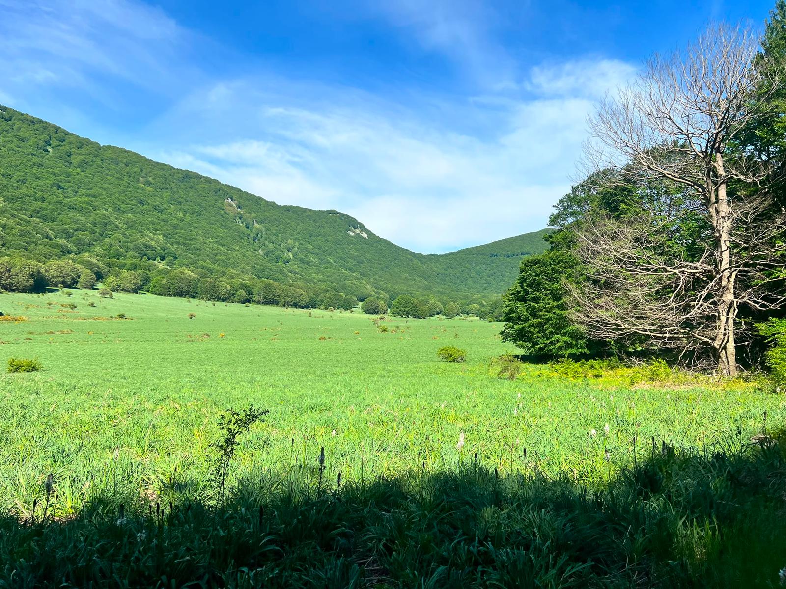 Vista panoramica dell'Ecovillaggio Partenio immerso nella natura montana