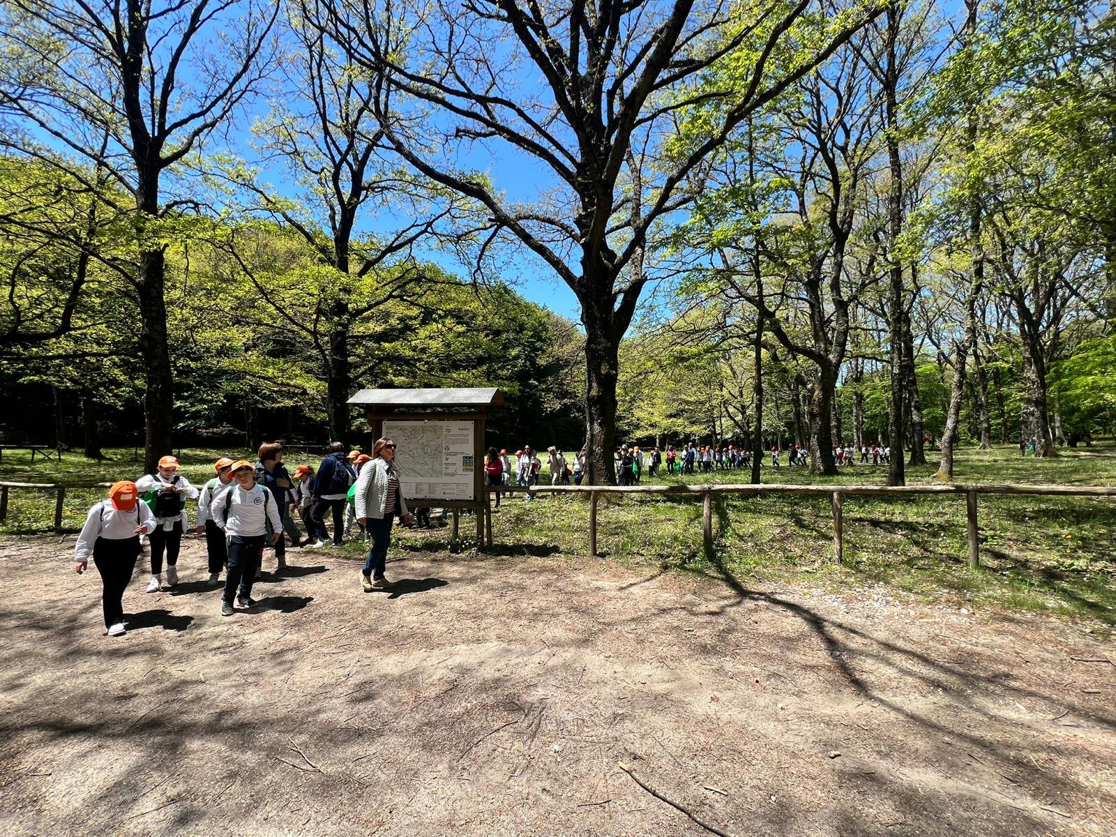 Passeggiate nella natura e aree picnic