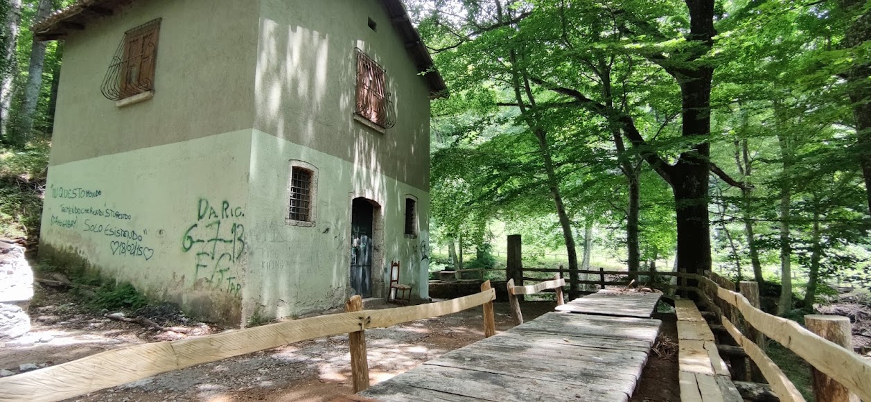Area picnic attrezzata nel Parco del Partenio con tavoli in legno e barbecue
