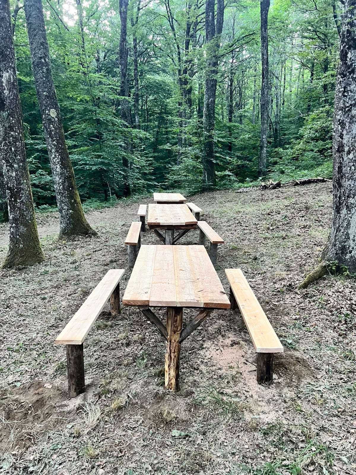 Nuove aree picnic attrezzate