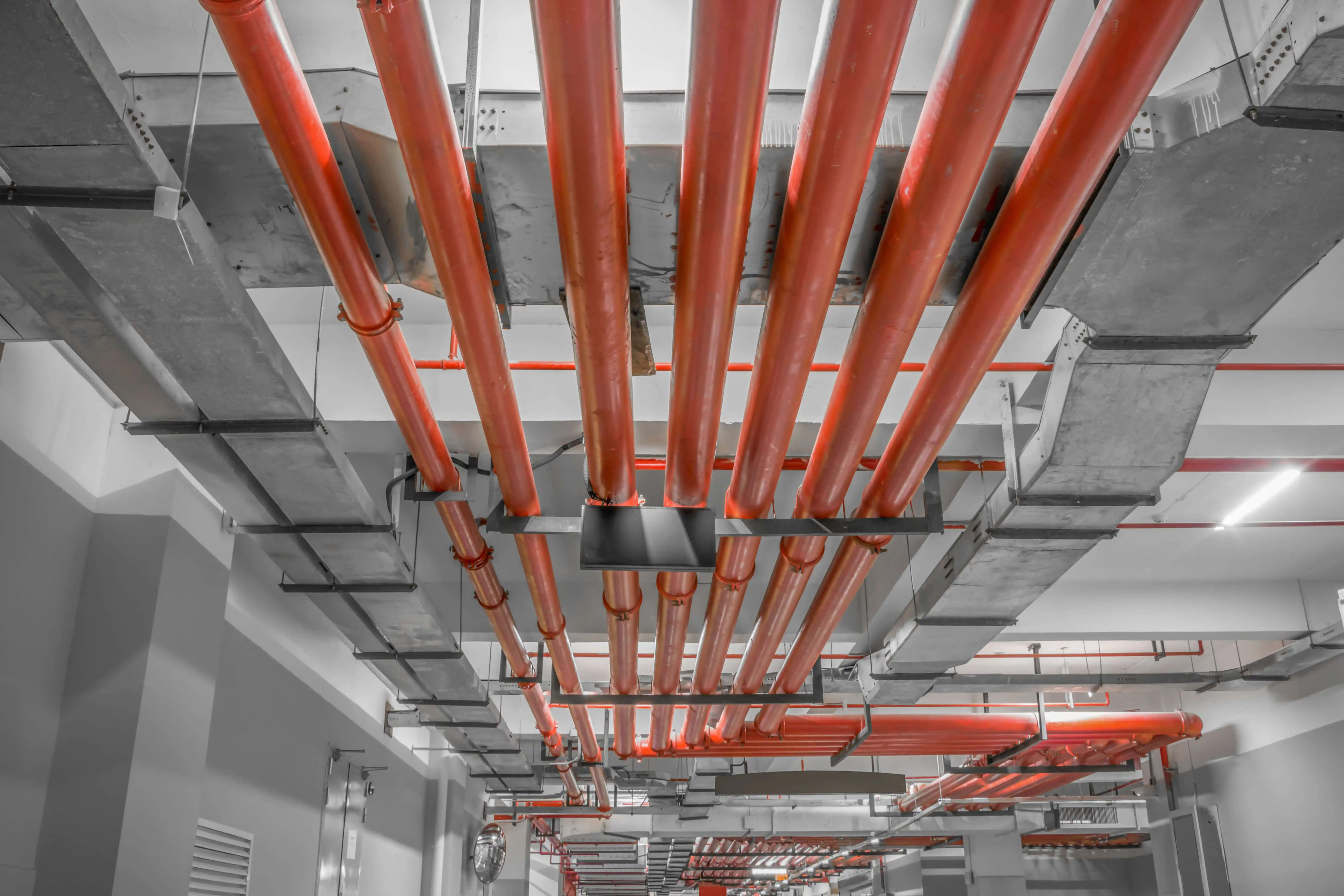 Row of red fire extinguishers lined up for safety use