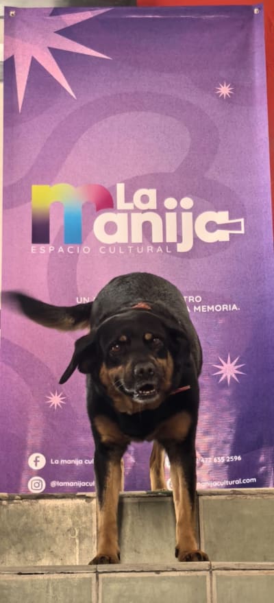 La Manija Espacio Cultural - foto 11