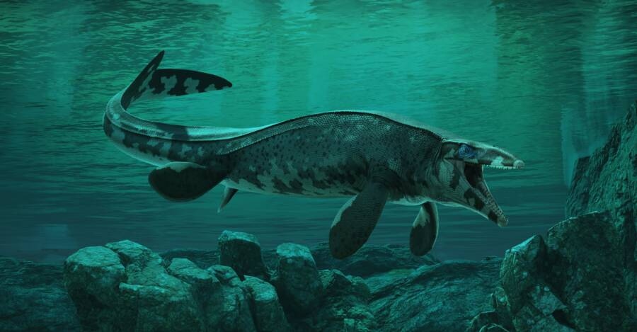 Reconstrucción artística del Tylosaurus rex de perfil mostrando su cuerpo completo en aguas del Cretácico Tardío