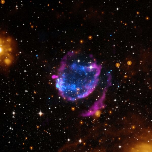 What Happens When a Supernova FAILS?