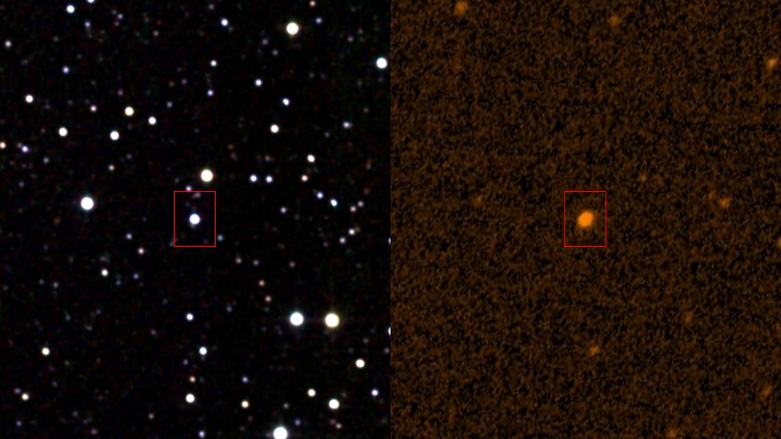 The Tabby's star