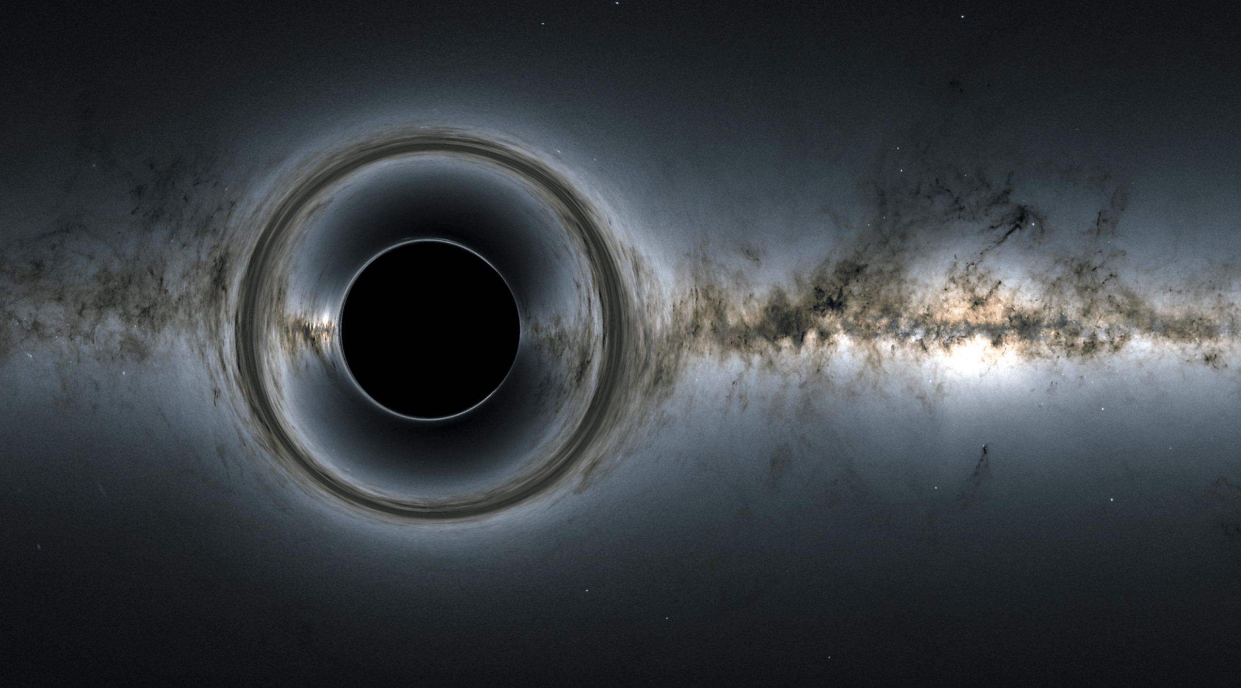 Wandering Black Holes Carry the History of Their Home Galaxies