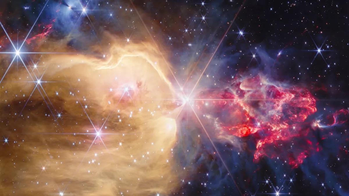 Más de 100 estrellas bebé escondidas en una nebulosa con forma de flor | James Webb