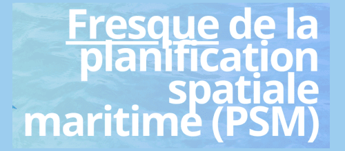 Fresque de la Planification Spatiale Maritime