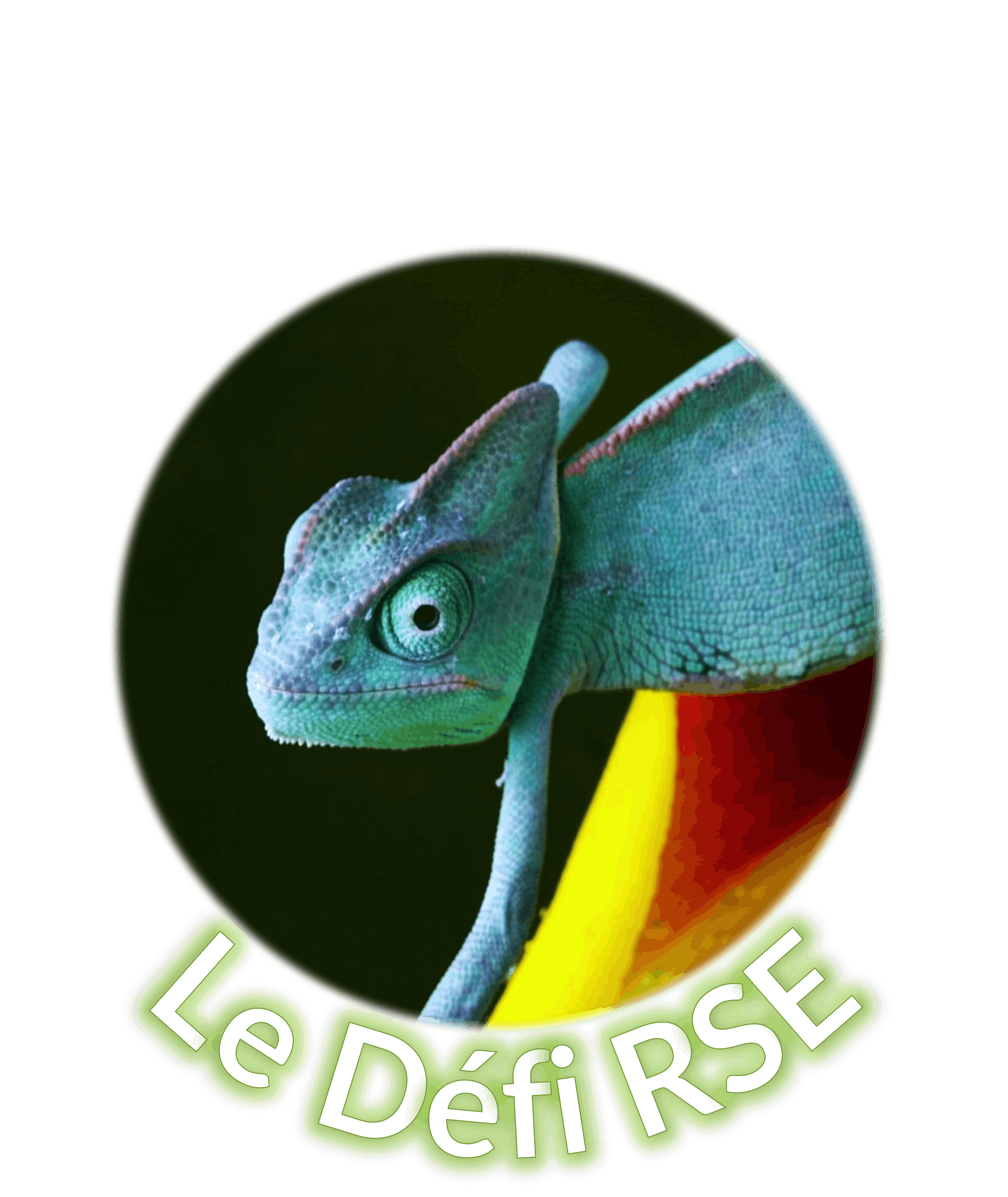 Le Défi RSE