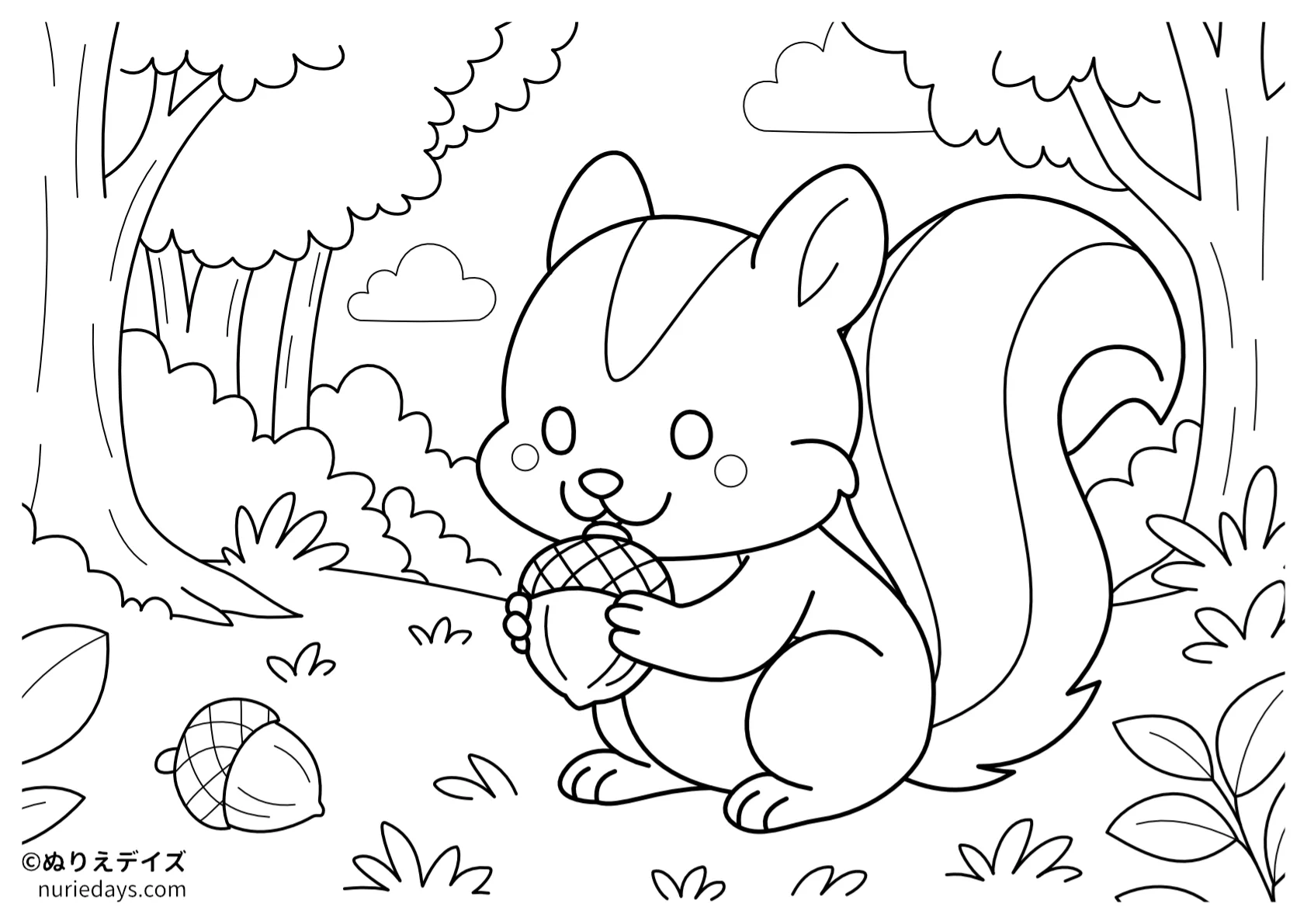 リスとどんぐりのぬりえ