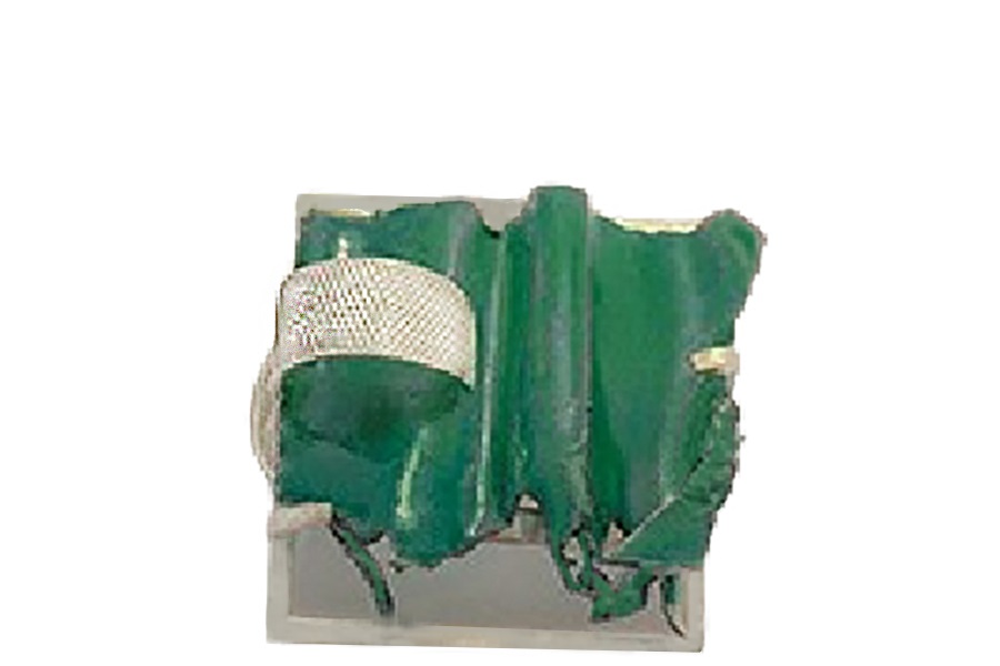 Geëmailleerde broche Sterlingsilver 925