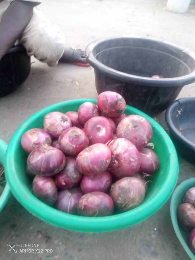 Onions