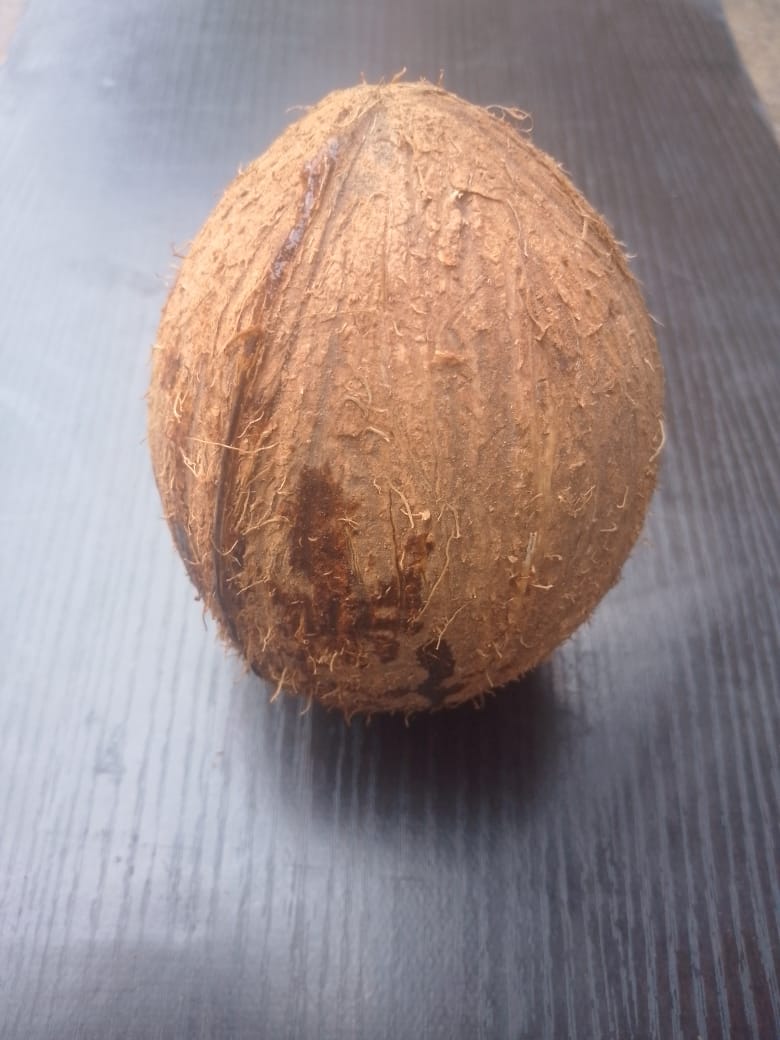 Ghana Coconut 