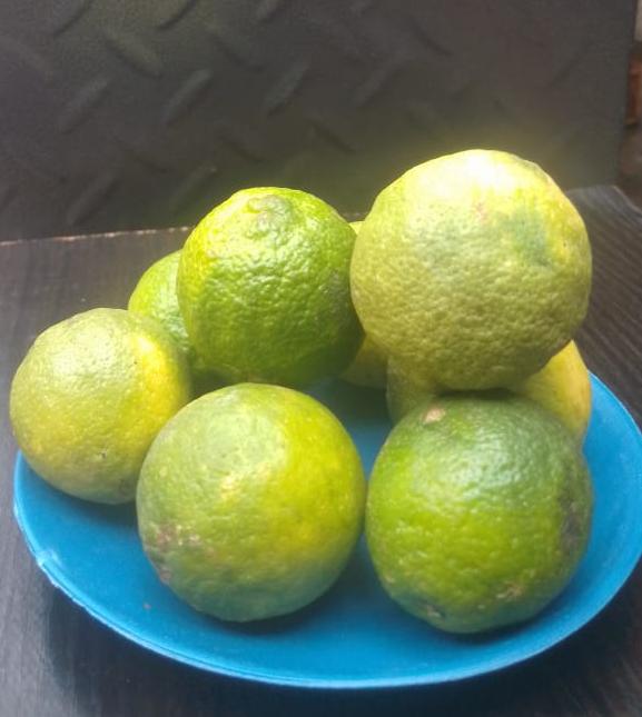 Green Lemon 
