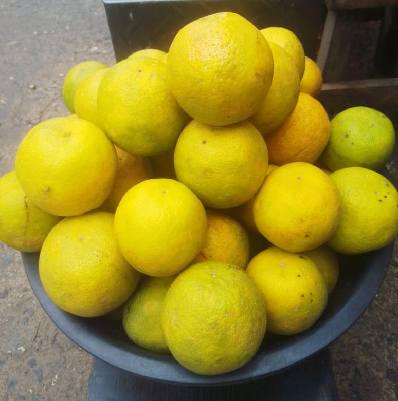 Gboko Orange 