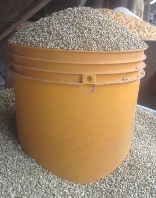 Millet grain