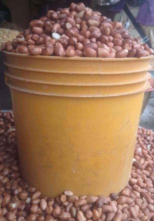 Solar Groundnut 