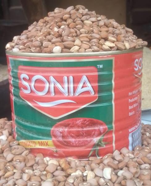 Brown Beans 