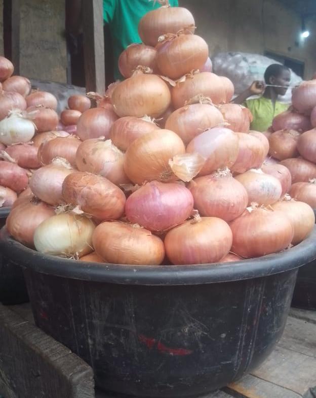 Onion 